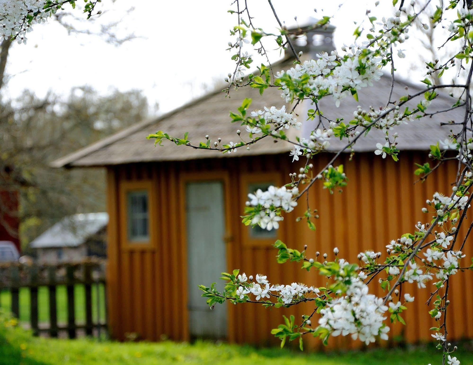 Bed and Breakfast Naestegarden Bed & Breakfast Sätuna Exterior foto